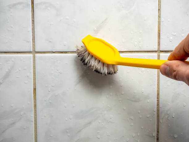 Best Affordable Mold Removal  in North Lakeport, CA