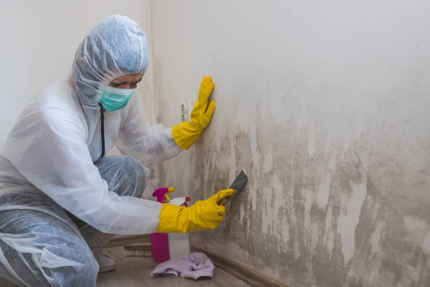 Best Emergency Mold Removal  in North Lakeport, CA